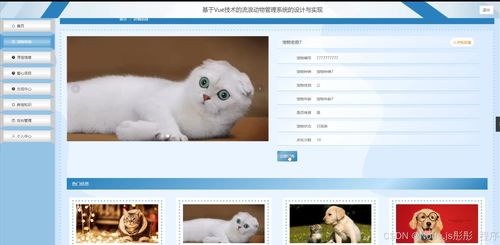 基于Vue与Flask的流浪动物管理系统的设计与实现